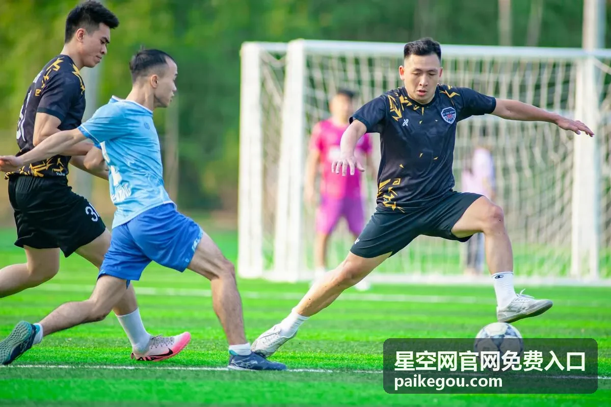 星空网官网免费入口首页概览界面示意